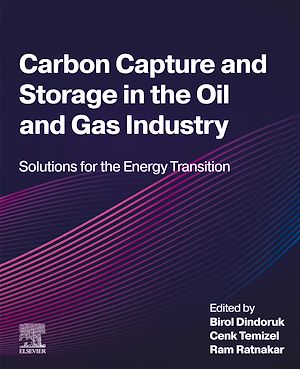 Téléchargez le livre :  Carbon Capture and Storage in the Oil and Gas Industry