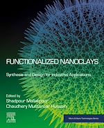 Télécharger le livre :  Functionalized Nanoclays