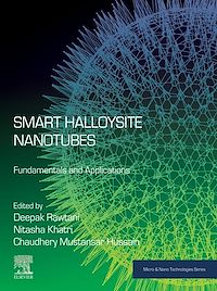 Téléchargez le livre :  Smart Halloysite Nanotubes