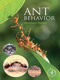 Téléchargez le livre :  Ant Behavior