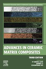 Télécharger le livre :  Advances in Ceramic Matrix Composites