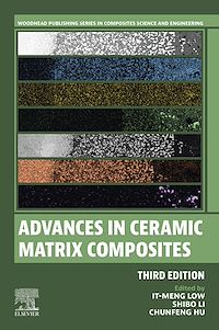 Téléchargez le livre :  Advances in Ceramic Matrix Composites