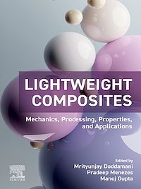 Téléchargez le livre :  Lightweight Composites