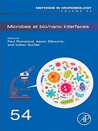 Téléchargez le livre :  Microbes at Bio/Nano Interfaces