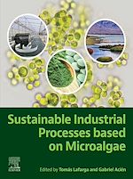 Télécharger le livre :  Sustainable Industrial Processes Based on Microalgae