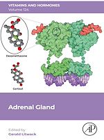 Télécharger le livre :  Adrenal Gland