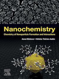 Téléchargez le livre :  Nanochemistry