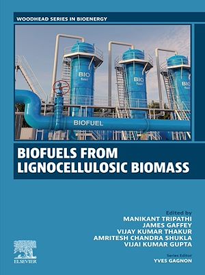 Téléchargez le livre :  Biofuels and Bioproducts from Lignocellulosic Materials