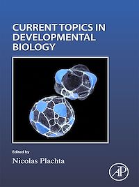 Download this ebook Cell Shape and Position during Development