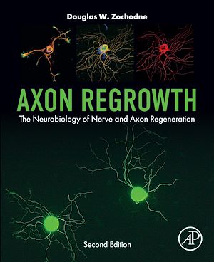 Téléchargez le livre :  Axon Regrowth