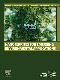 Téléchargez le livre :  Nanoferrites for Emerging Environmental Applications
