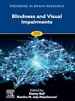 Télécharger le livre :  Blindness and Visual Impairments