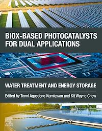 Téléchargez le livre :  BiOX-based Photocatalysts for Dual Applications