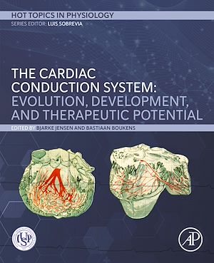 Download the eBook: The Cardiac Conduction System