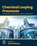 Télécharger le livre :  Chemical Looping Processes