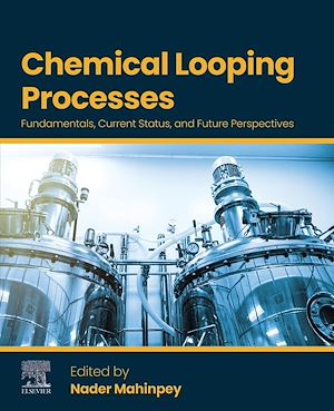 Téléchargez le livre :  Chemical Looping Processes