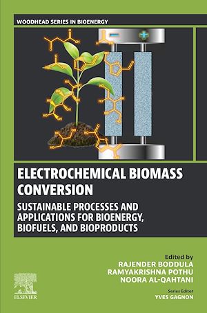 Download the eBook: Electrochemical Biomass Conversion