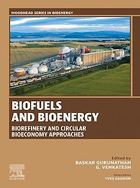 Téléchargez le livre :  Biofuels and Bioenergy