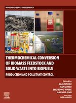 Télécharger le livre :  Thermochemical Conversion of Biomass Feedstock and Solid Waste into Biofuels