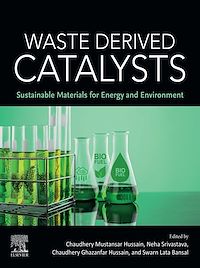 Téléchargez le livre :  Waste Derived Catalysts