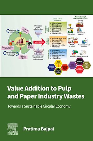 Téléchargez le livre :  Value Addition to Pulp and Paper Industry Wastes