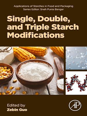 Download the eBook: Single, Double, and Triple Starch Modifications