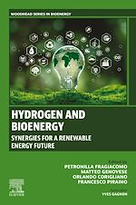 Download this eBook Hydrogen and Bioenergy