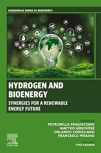 Download this ebook Hydrogen and Bioenergy