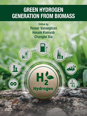 Download the eBook: Green Hydrogen Generation from Biomass