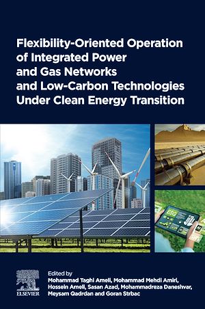 Download the eBook: Flexibility-Oriented Operation of Integrated Power and Gas Networks and Low-Carbon Technologies Under Clean Energy Transition