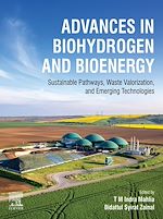 Download this eBook Advances in Biohydrogen and Bioenergy