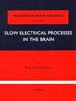 Download this eBook Slow Electrical Processes in the Brain