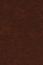 Télécharger le livre :  Supergene and Surficial Ore Deposits