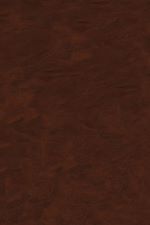 Télécharger le livre :  Cu, Zn, Pb, and Ag Deposits