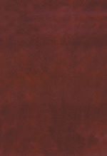 Télécharger le livre :  Au, U, Fe, Mn, Hg, Sb, W, and P Deposits