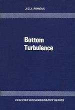 Download this eBook Bottom Turbulence