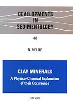 Download this eBook Clay Minerals