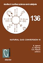 Télécharger le livre :  Natural Gas Conversion VI