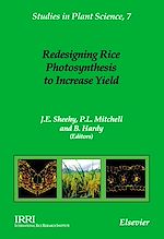 Download this eBook Redesigning Rice Photosynthesis to Increase Yield