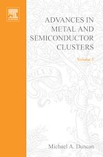 Télécharger le livre :  Advances in Metal and Semiconductor Clusters
