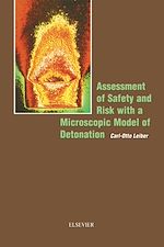 Download this eBook Assessment of Safety and Risk with a Microscopic Model of Detonation