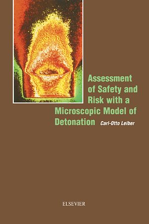 Download the eBook: Assessment of Safety and Risk with a Microscopic Model of Detonation