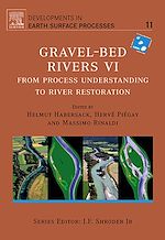 Download this eBook Gravel Bed Rivers 6