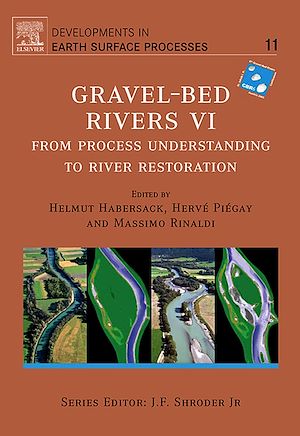 Download the eBook: Gravel Bed Rivers 6