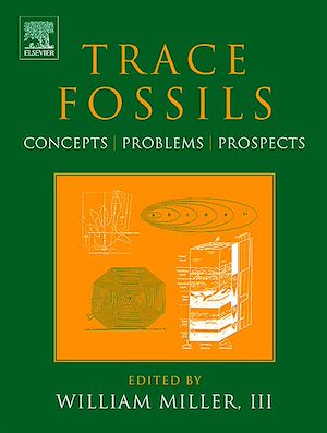 Téléchargez le livre :  Trace Fossils