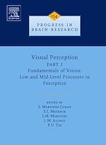 Download this eBook Visual Perception Part 1