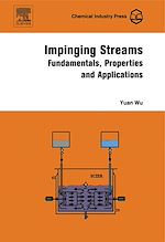 Télécharger le livre :  Impinging Streams