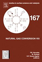 Download this eBook Natural Gas Conversion VIII