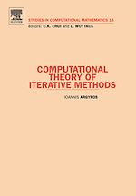 Télécharger le livre :  Computational Theory of Iterative Methods