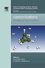 Download this eBook Nanoclusters